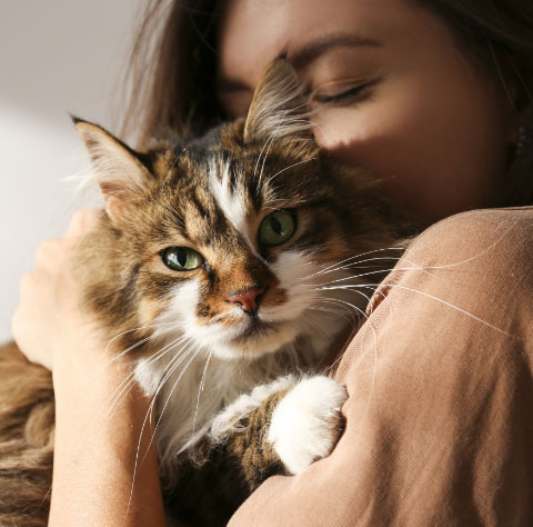 Woman holding a light brown and white colored cat close to her face.